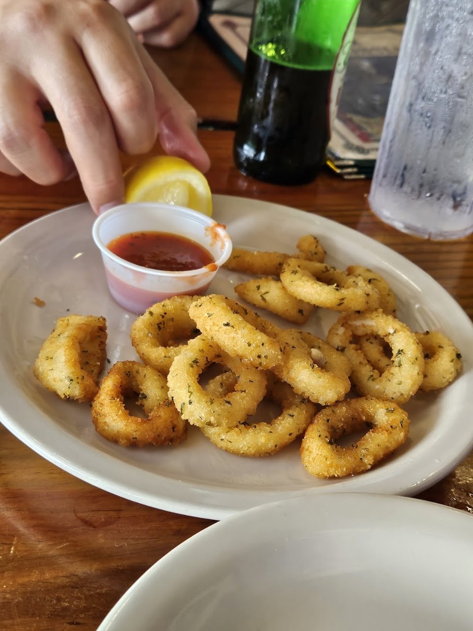 Fried Calamari